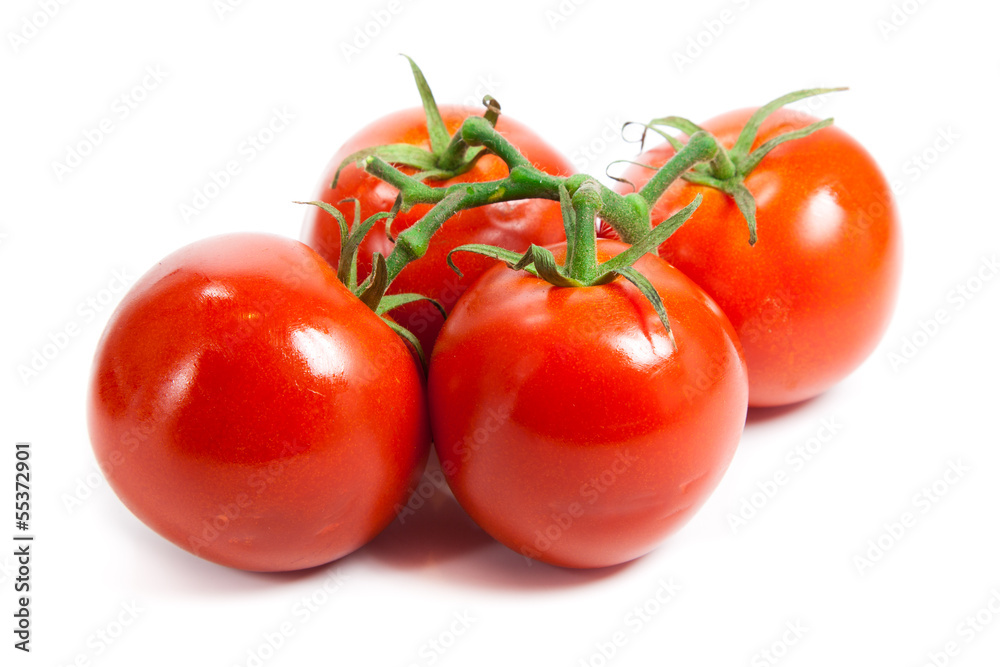 Closeup of tomatoes on the vine isolated on white. Tomato branch Closeup of tomatoes on the vine isolated on white. Tomato branch