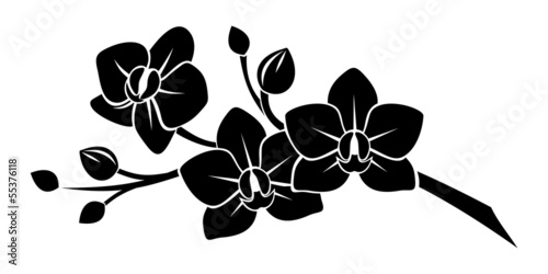 Fototapeta Naklejka Na Ścianę i Meble -  Black silhouette of orchid flowers. Vector illustration.