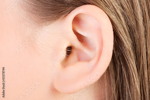Ear lobe closeup