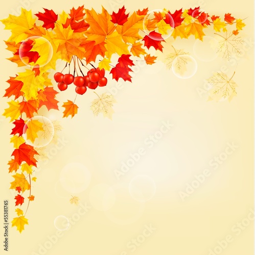 Autumn background with colorful leaves. Back to school. Vector i