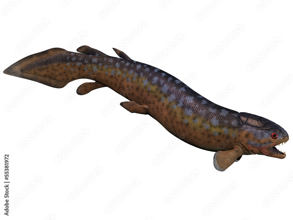 Fototapeta premium Rhizodus Fish on White