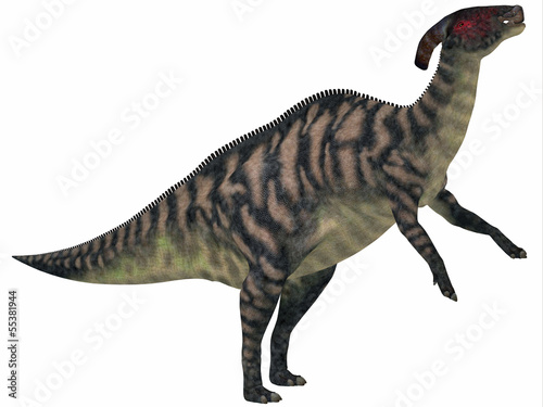 Parasaurolophus Striped on White