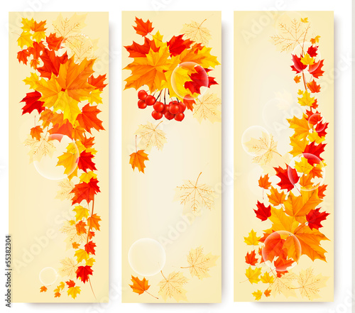 Three autumn backgrounds with colorful leaves. Back to school. V
