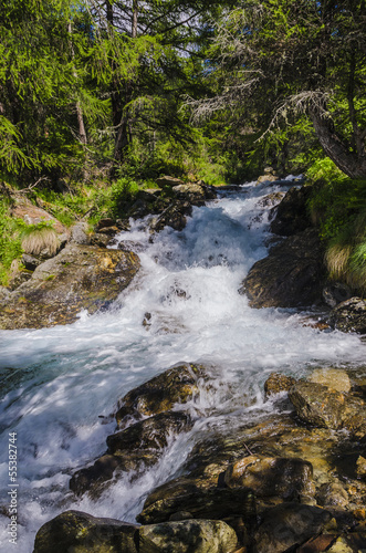 Mountain river in alpine coniferous forest. Italy