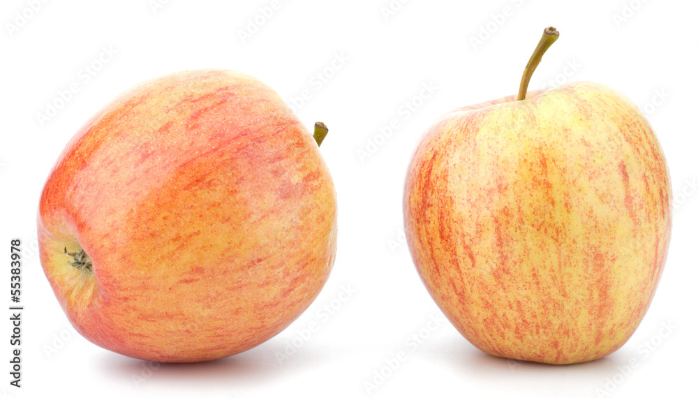 juicy apples isolated on white background juicy apples isolated on white background