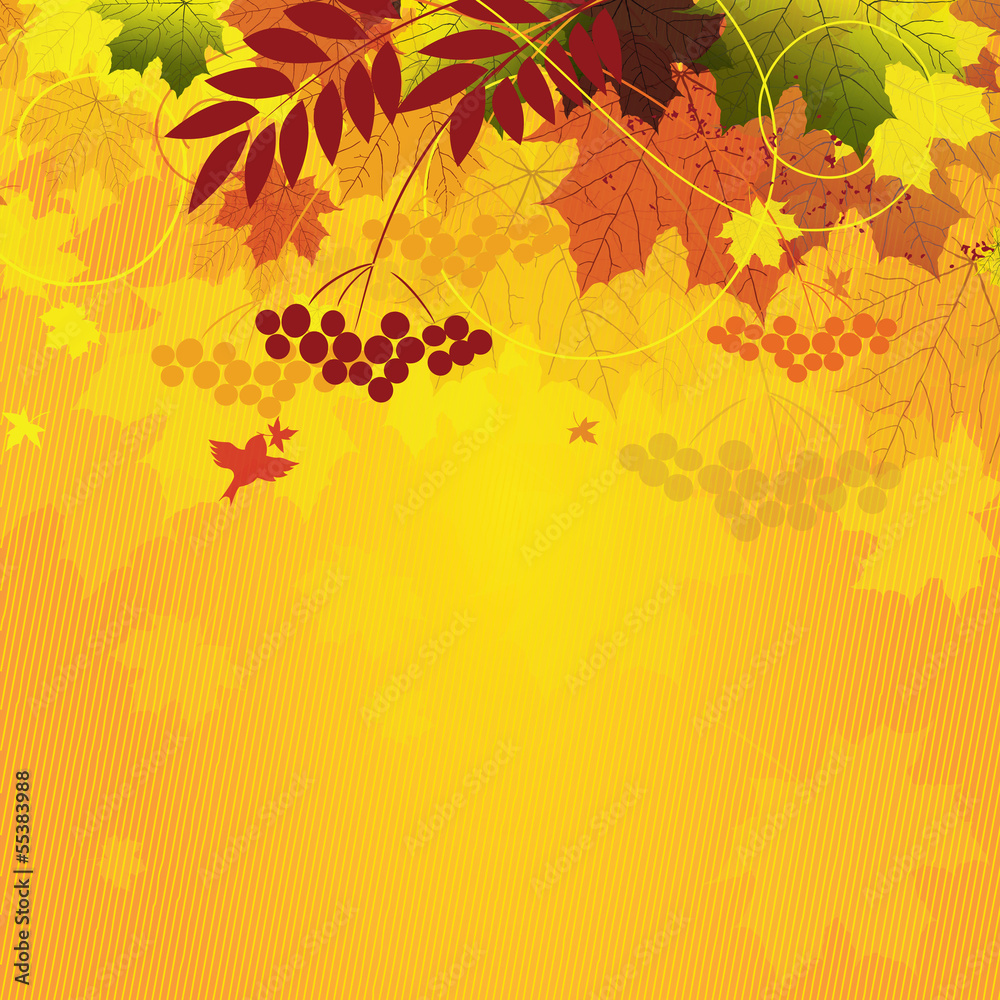 autumn floral background autumn floral background
