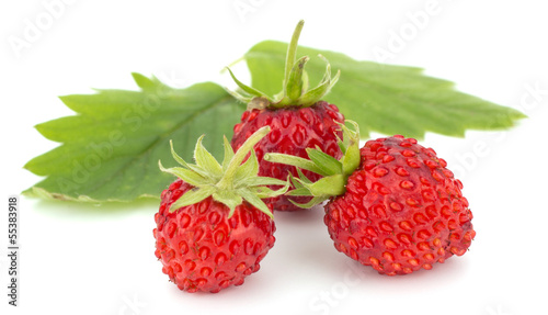 Wild strawberry isolated on white background