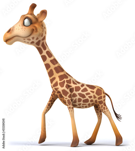 Fun giraffe