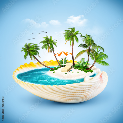 seashell