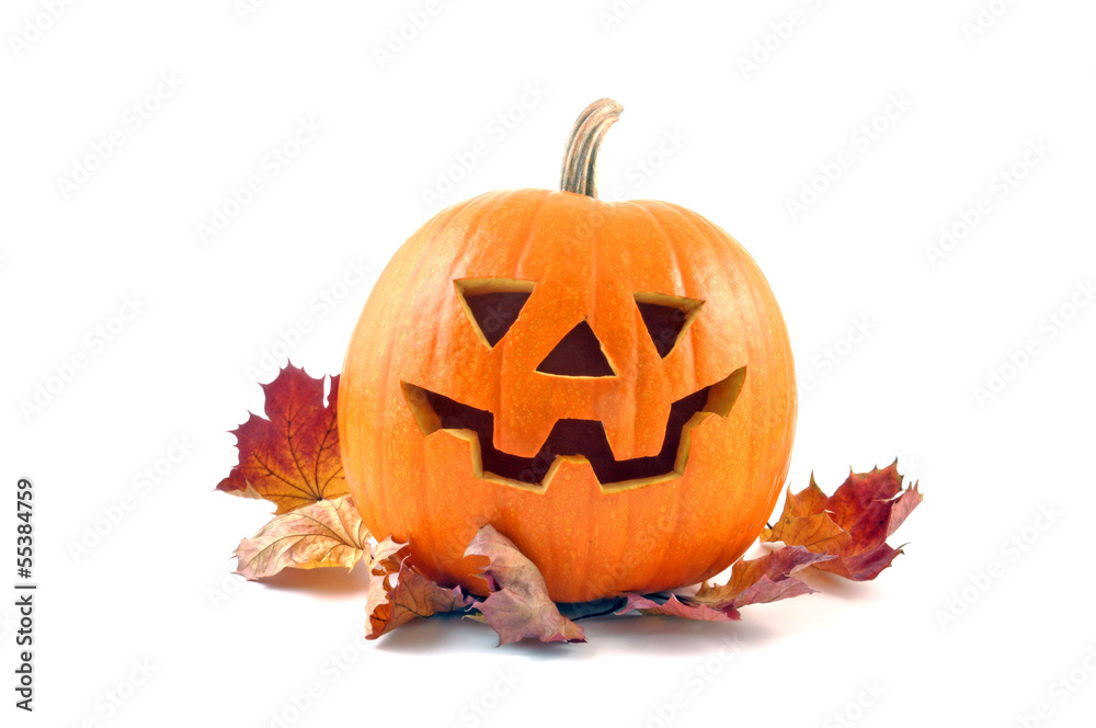 Fototapeta premium Halloween Kürbis