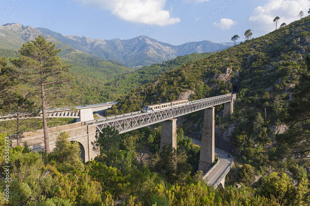 Fototapeta premium Train driving on large bridge in Vivario Corsica