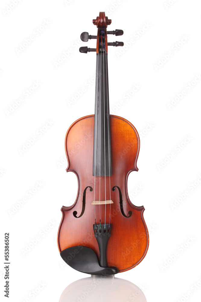 Geige - Violine Geige - Violine