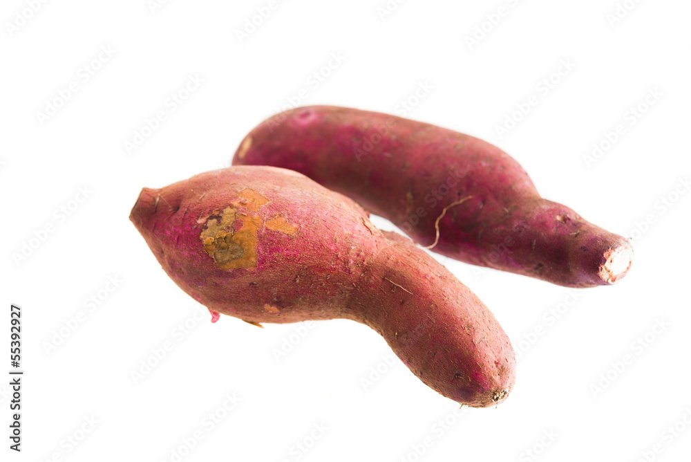 sweet potato on the white background sweet potato on the white background