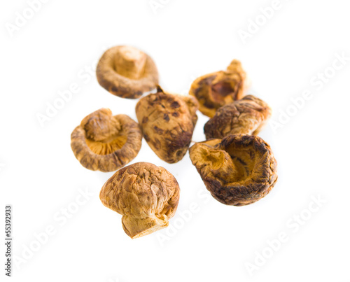 Dry Mushrooms isolated on white background. Selective focus