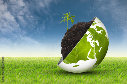 Eco world on grass and sky  1