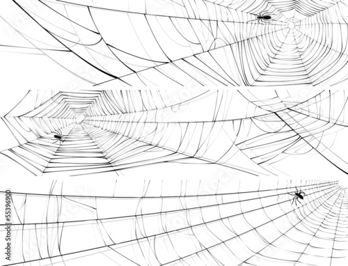 Horizontal banner of web of spider.
