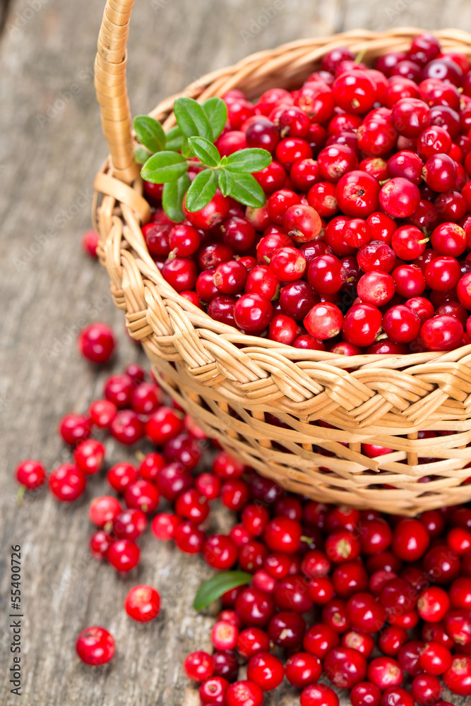cowberries in a basket on wooden surface cowberries in a basket on wooden surface