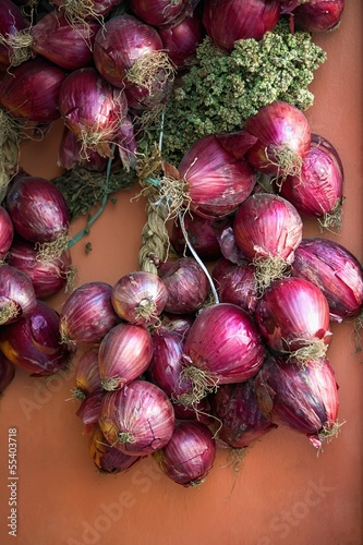 Bunch of red onions from Tropea,