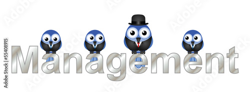 Management text with bird workers and boss