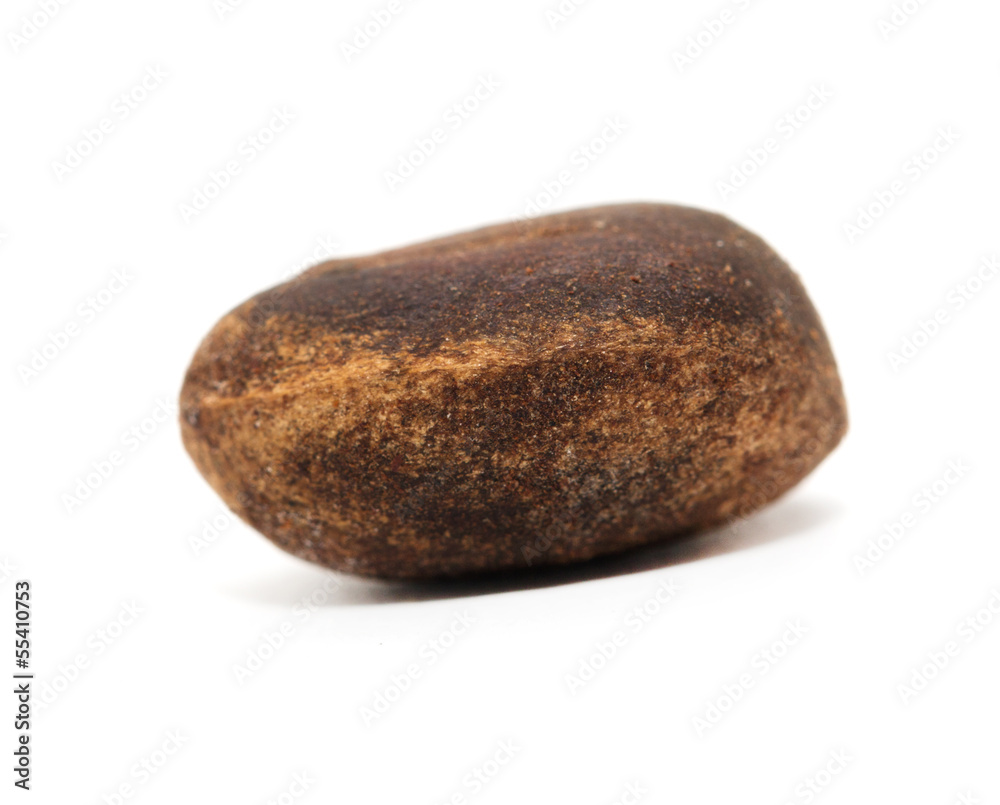 Pine nuts on a white background. macro Pine nuts on a white background. macro