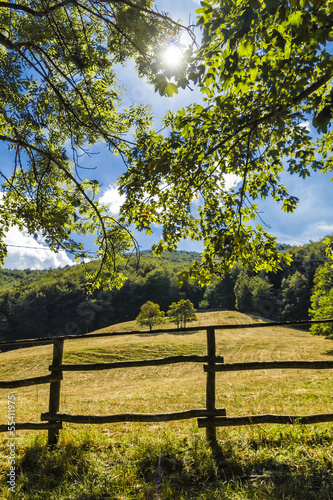 The fence of a pasture in the Tuscan countryside.