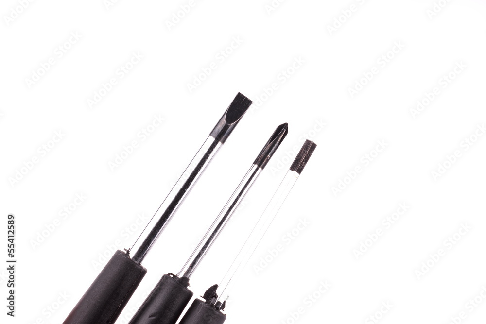 Obraz premium Screwdriver