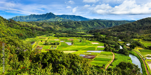 Hanalei Valley Panorama