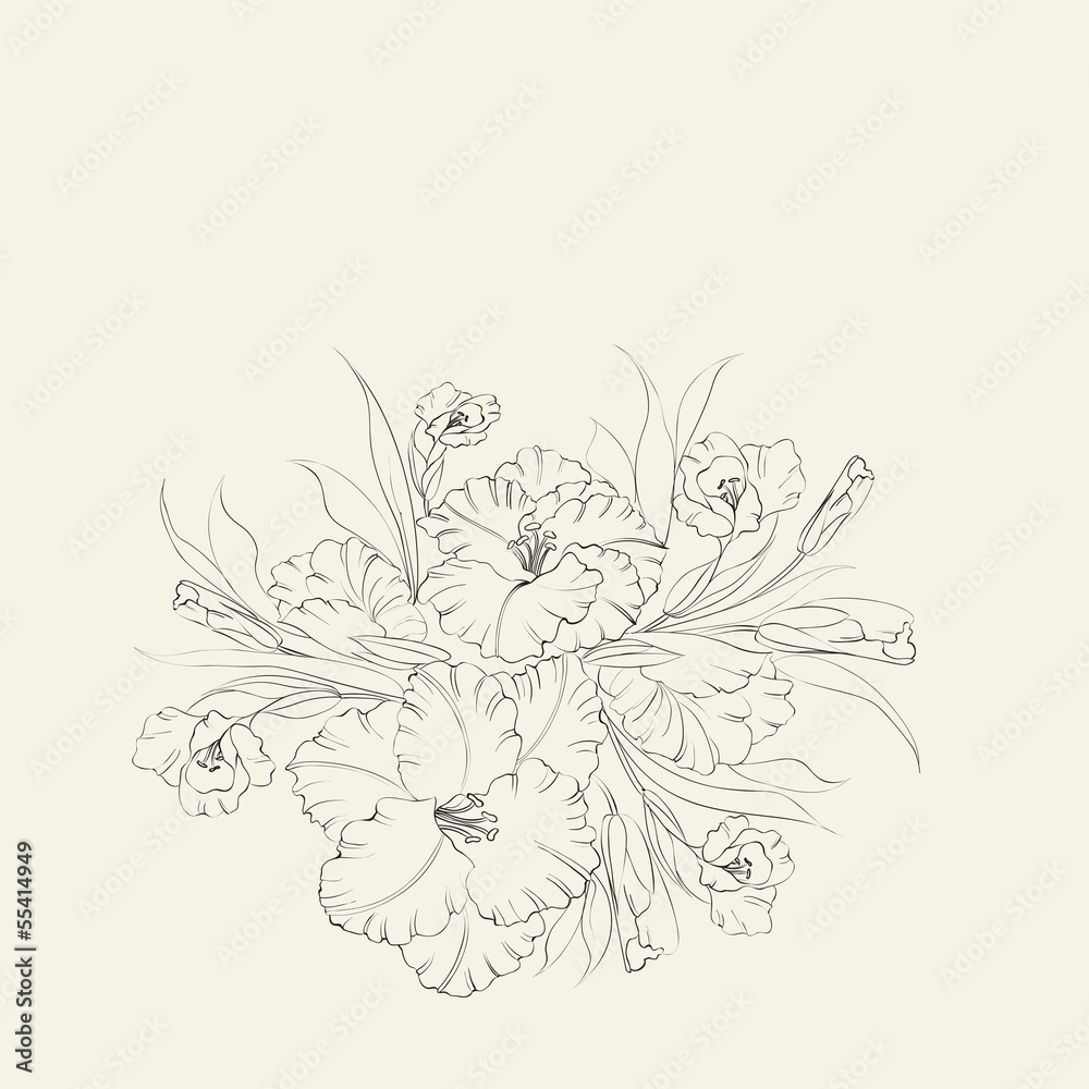 Iris flower isolated on white background. Iris flower isolated on white background.