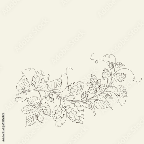 Billede på lærred Hops with leafs isolated on sepia.