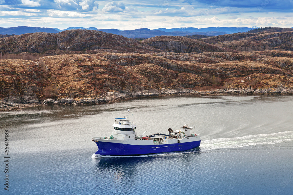 Fototapeta premium Blue Norwegian fish carrier ship