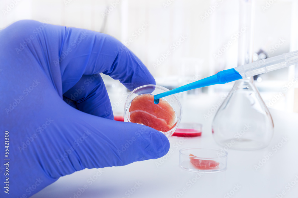 Meat cultured in laboratory conditions Meat cultured in laboratory conditions