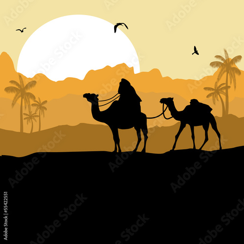 Camel caravan in desert