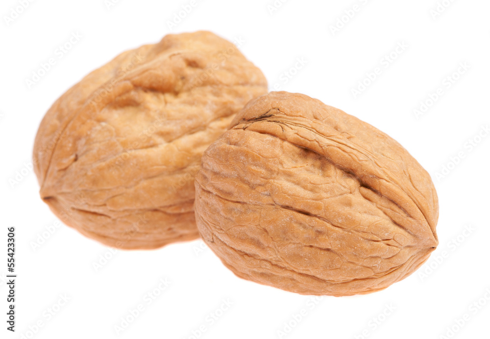 pair of walnuts isolated on a white background pair of walnuts isolated on a white background