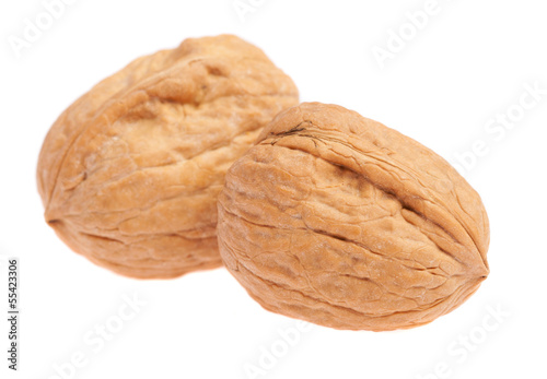 pair of walnuts isolated on a white background