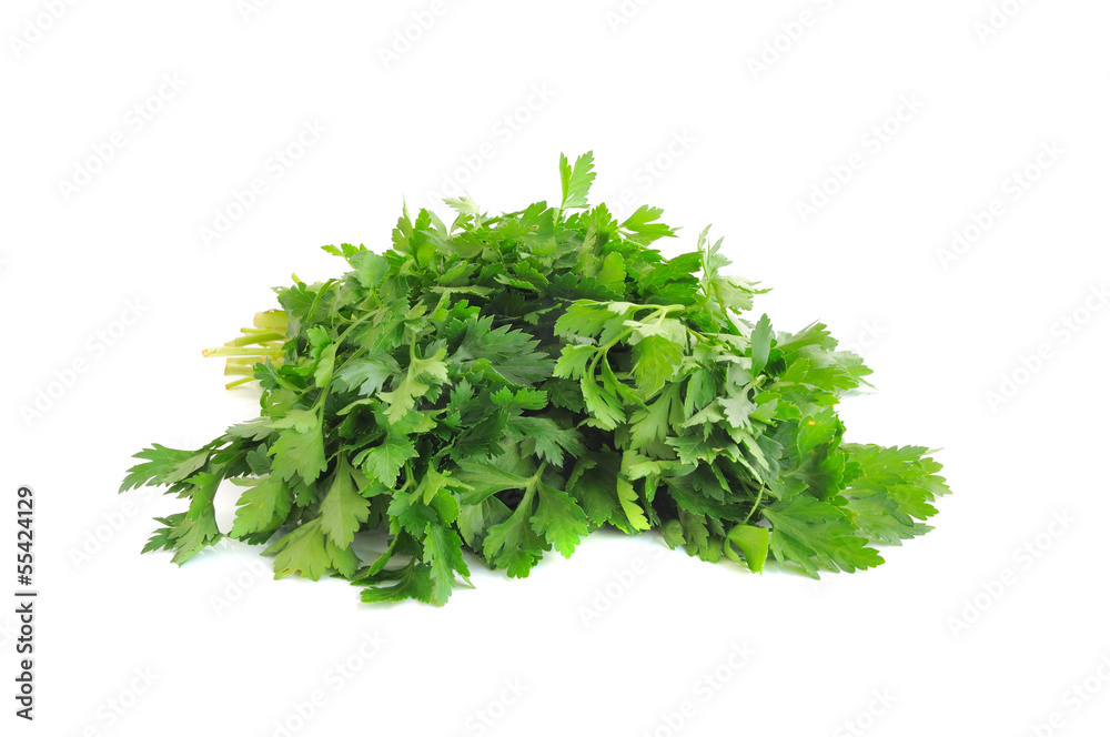 green leaves of parsley isolated on white background green leaves of parsley isolated on white background
