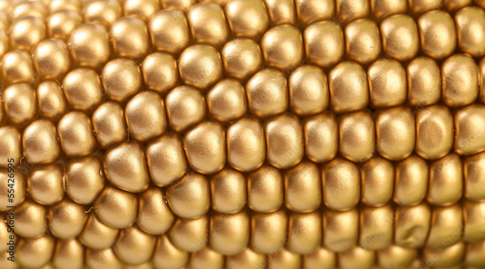 Background of golden corbcob. Macro. Background of golden corbcob. Macro.
