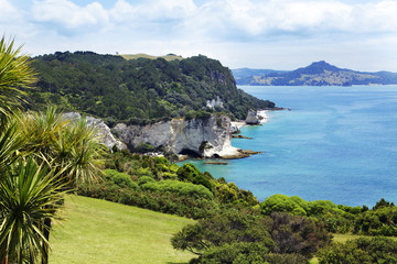 Poster Cathedral Cove Cathedral Cove verborgen baai Coromandel  © Friedberg