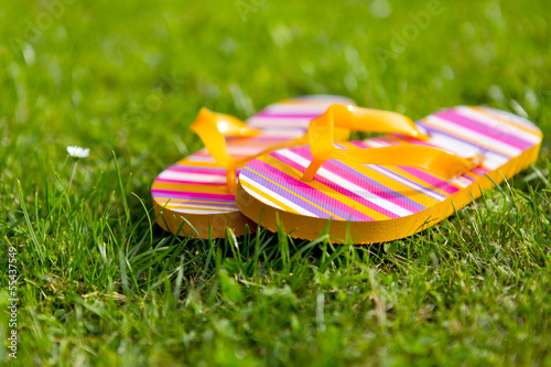 Flipflops im Gras