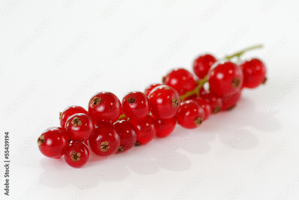 Rote Johannisbeeren vor weissem Hintergrund, Freisteller Rote Johannisbeeren vor weissem Hintergrund, Freisteller