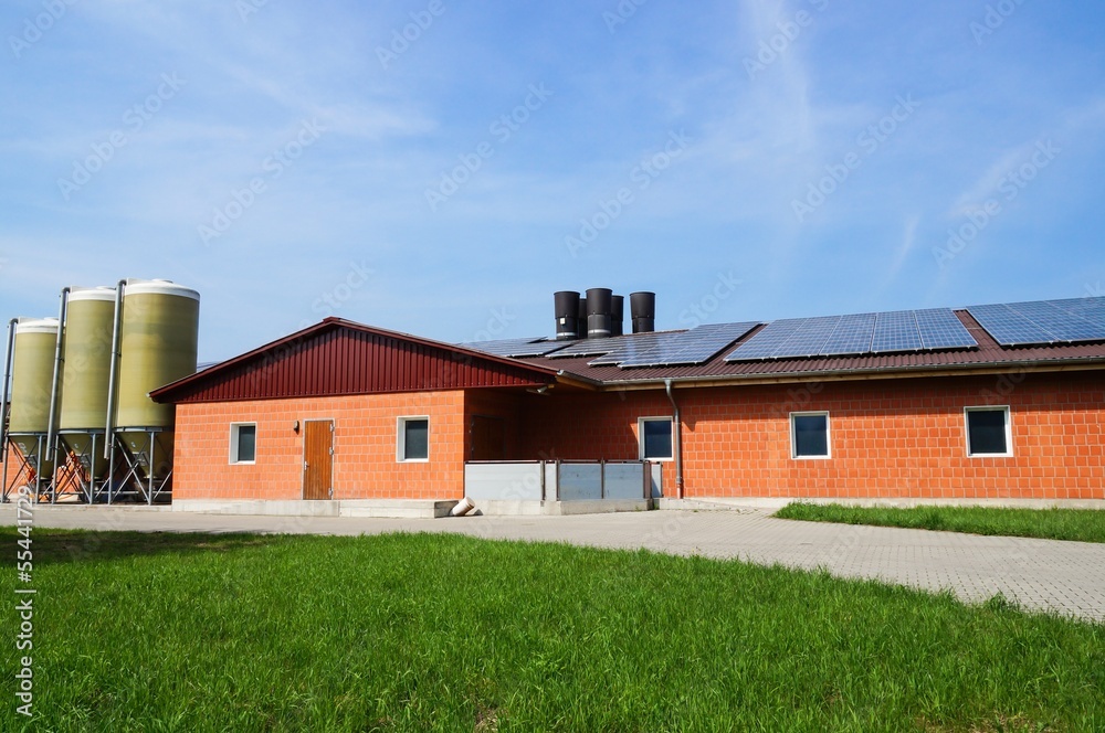 Obraz premium moderner Schweinestall