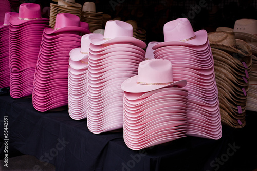 Canvas-taulu Western Hats in Shades of Pink