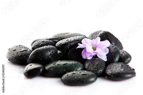 Spa stones and purple flower  isolated on white. flower in stone