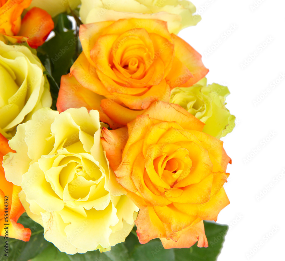 Beautiful bouquet of roses isolated on white Beautiful bouquet of roses isolated on white