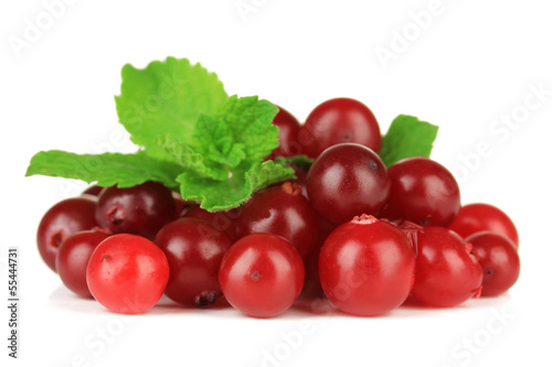 Ripe red cranberries  isolated on white.