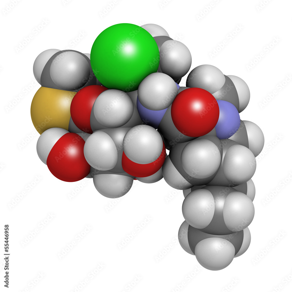 Clindamycin antibiotic drug (lincosamide class) Clindamycin antibiotic drug (lincosamide class)