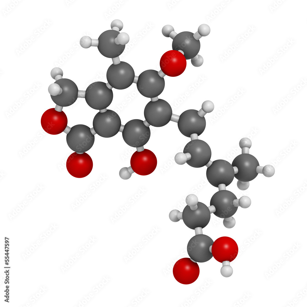 Mycophenolate (mycophenolic acid) immunosuppressive drug Mycophenolate (mycophenolic acid) immunosuppressive drug