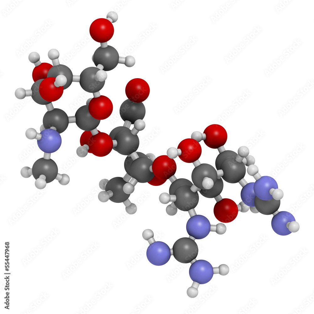 Streptomycin antibiotic drug (aminoglycoside class) Streptomycin antibiotic drug (aminoglycoside class)