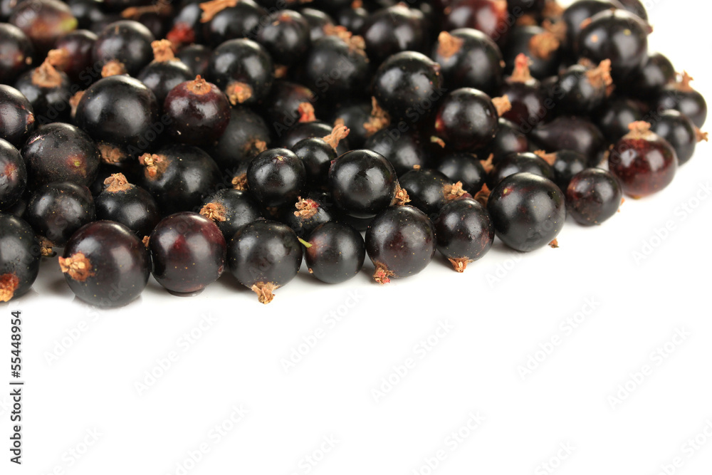 Black currant isolated on white Black currant isolated on white