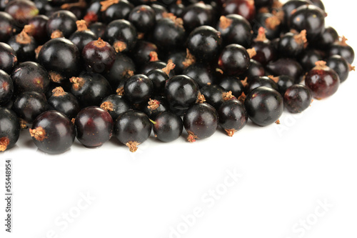 Black currant isolated on white