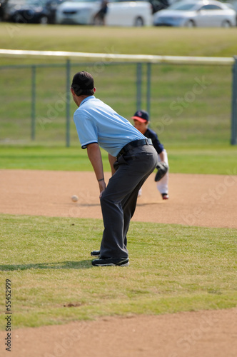 Little league baseball umpire